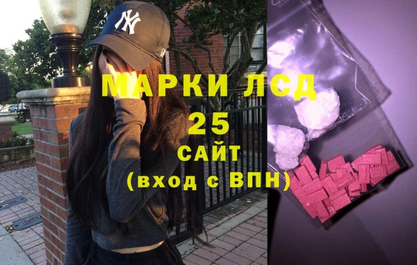 прущие грибы Горняк