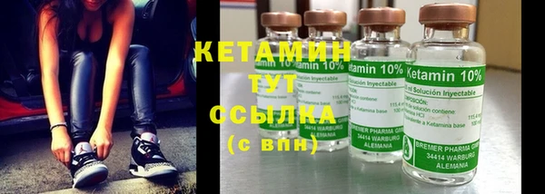 прущие грибы Горняк