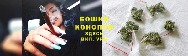 прущие грибы Горняк