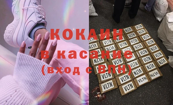 прущие грибы Горняк