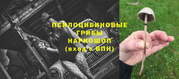 ECSTASY Горно-Алтайск
