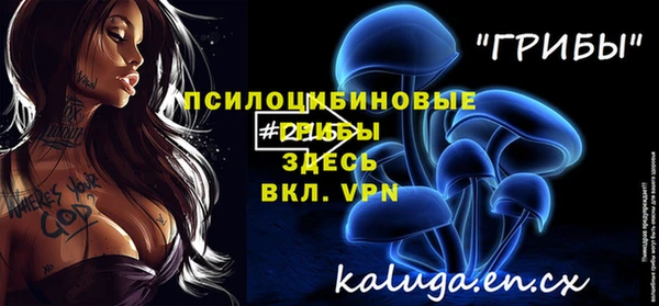 прущие грибы Горняк