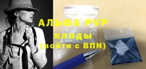 прущие грибы Горняк