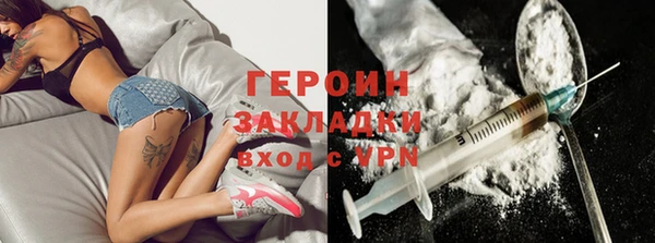 прущие грибы Горняк