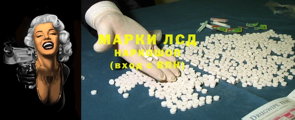 прущие грибы Горняк
