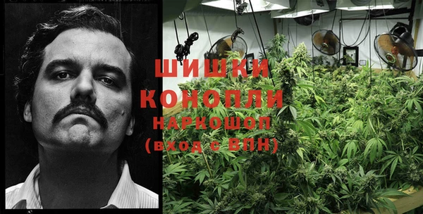 спиды Горнозаводск