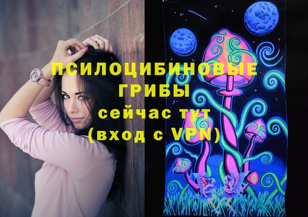 ECSTASY Горно-Алтайск
