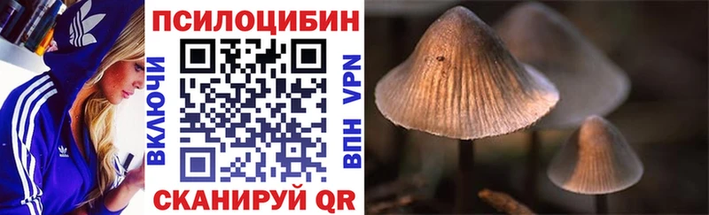 Галлюциногенные грибы мухоморы  наркотики  Брянск 