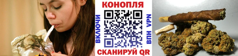 Шишки марихуана семена Брянск
